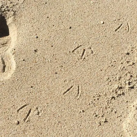 Sitio Ocean Views נאזרה