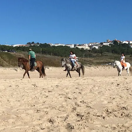 Lejlighed Sitio Ocean Views Nazaré
