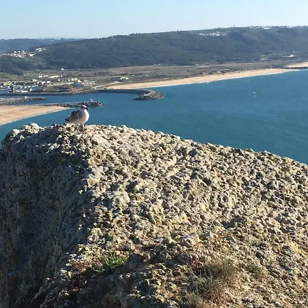 Lejlighed Sitio Ocean Views Nazaré
