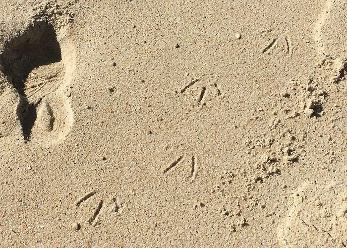 Sitio Ocean Views نازاريه